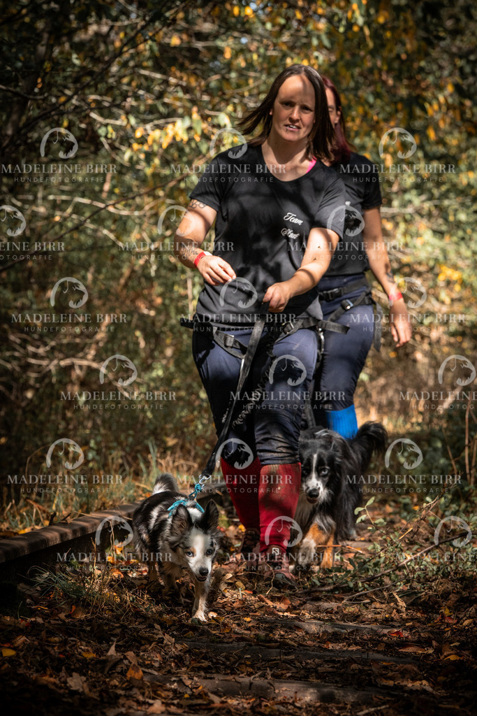 madeleinebirr.fotografie.2026.cc.hunsrueck.12-13Uhr.326 | hundefotografie-birr