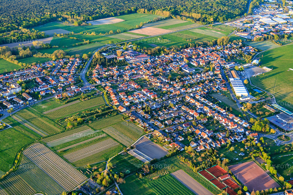 Luftbild: Ortsansicht von Süden im Ortsteil Speyerdorf in Neustadt im Bundesland Rheinland-Pfalz in Deutschland. Foto: IMG_077495.jpg vom 21.04.2015 durch Werner Riehm/FLY-FOTO.de