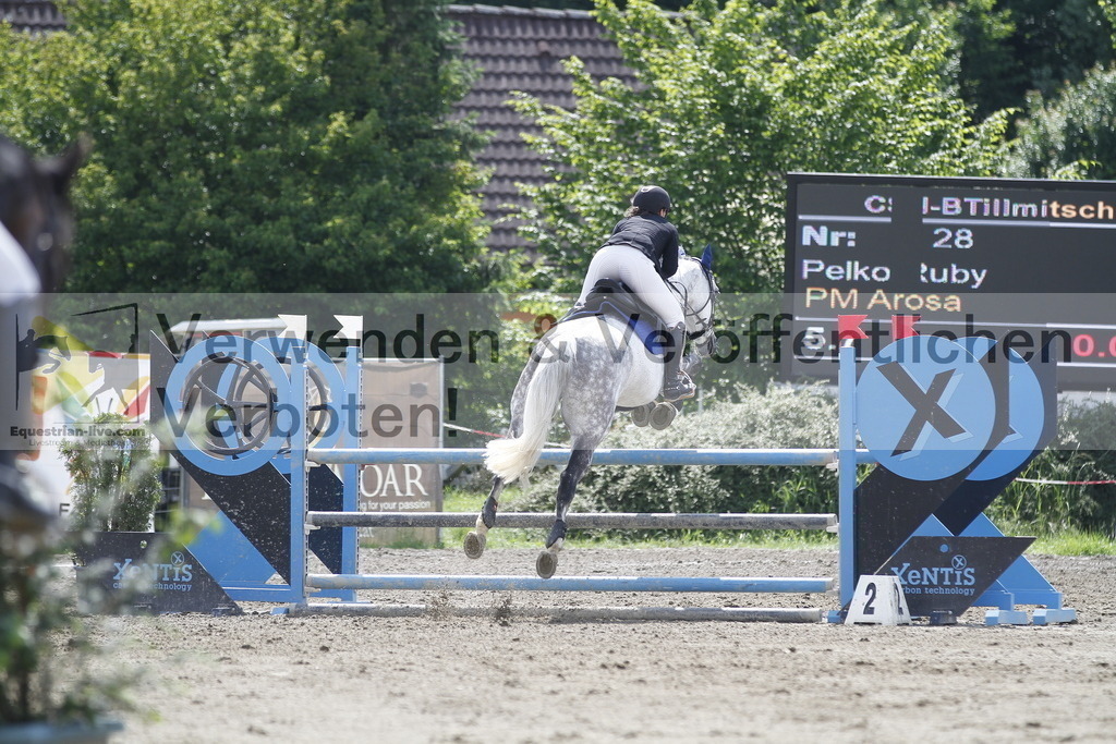 _MG_9642 | equestrian-live-com