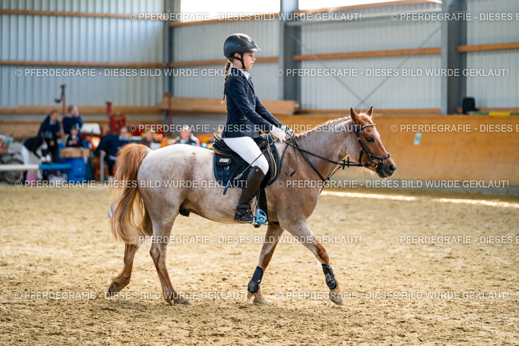 DSC02218 | Pferdegrafie