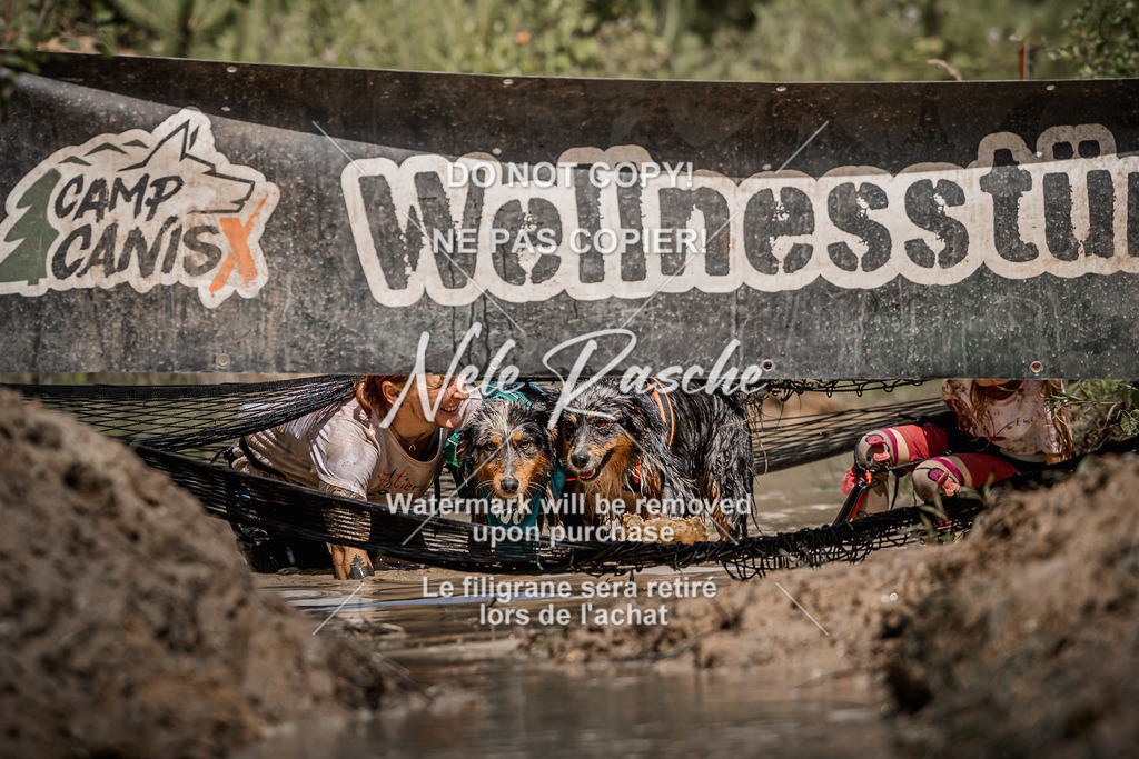 nelerasche_Hoope2026_Sa1200-1230_393 | nelerasche