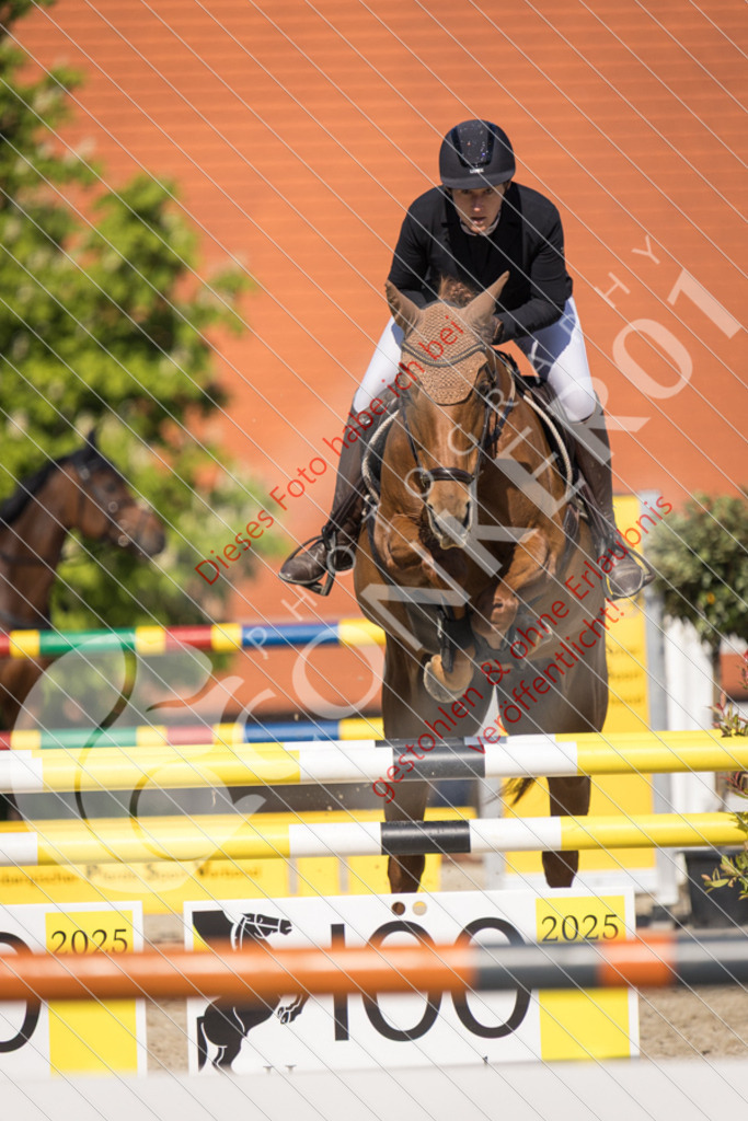 IMG_3806 | Sport-, Event- und Tierfotos in Profiqualität. Einfach auswählen, bestellen und herunterladen. Dein Moment – perfekt festgehalten.