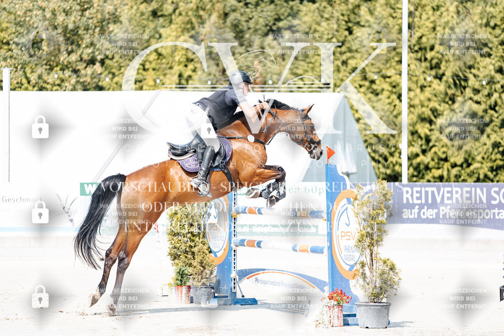 CK901136 | Turnierfotografie Pferdefotografie Trier Rheinland-Pfalz Pferdesport Reitsport Tierfotografie Sportfotografie Pferdevideo Pferdevideografie Equestrianvideography equestrianphotography  - Realisiert mit Pictrs.com