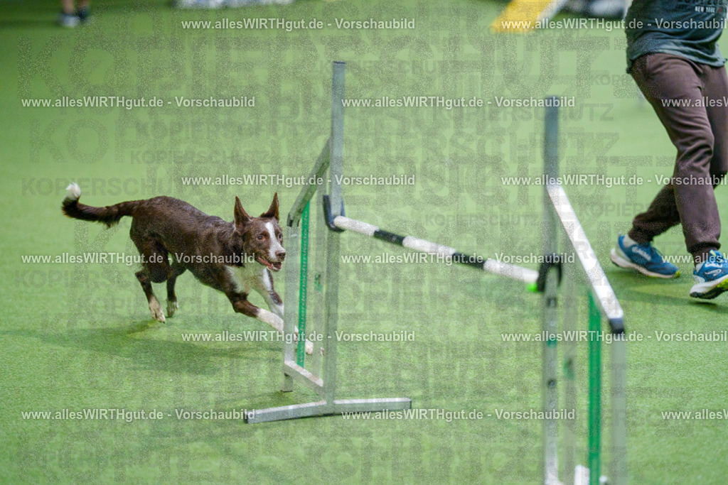 @allesWIRTHgut_Tierfotografie - www.allesWIRTHgut.de - 2604250837-7R507210 | Professionelle Tierfotografie in Mönchengladbach von Daniel Wirth (allesWIRTHgut). Liebevolle & natürliche Bilder von Hunden & Katzen für unvergessliche Erinnerungen.