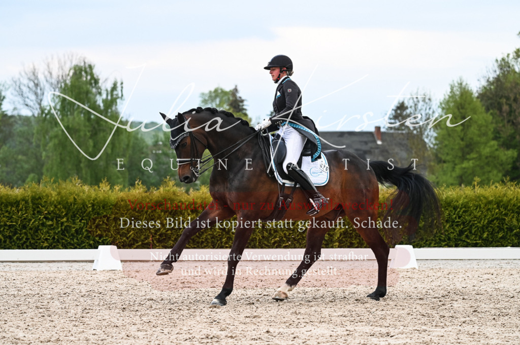 20230513_JK-Röhrsdorf-13-502 | Pferde- und Turnierfotografie in Westsachsen. Pferdeportraits, Auftragszeichnungen und intuitive Kunst.