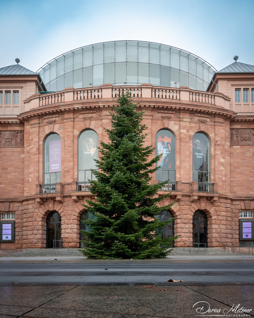 DSC_4237 2 | Fotografien, Fotos und Bilder aus Mainz, Frankfurt, Wiesbaden und anderen Orten auf der Welt - Fotografiert von Darius Metzner