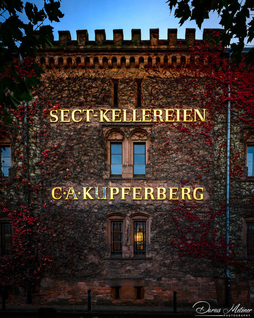 Die Kupferbergterasse in Mainz | Die Kupferbergterasse in Mainz