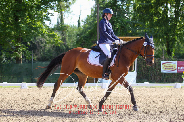 DKP42924 | Turniersportfotografie; Pferdefotografie; Dressurfotografie