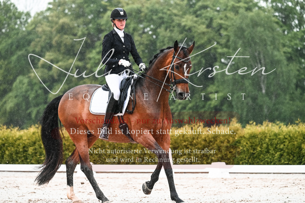 DSC_4596 | Pferde- und Turnierfotografie in Westsachsen. Pferdeportraits, Auftragszeichnungen und intuitive Kunst.