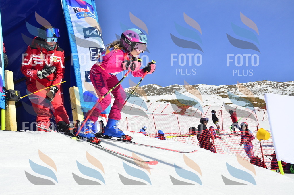 _ELE0304 | holidayphoto