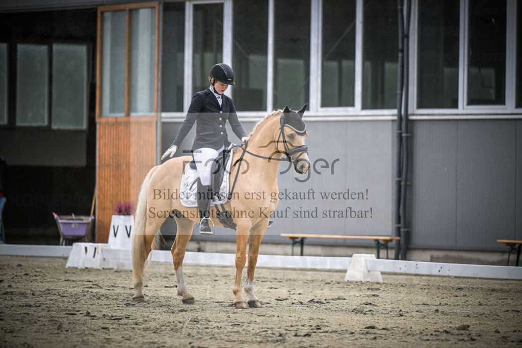 DOS_1612 | Entdecke hochwertige Reitturnierfotos von Foto Oger. Professionell, emotional und authentisch – jetzt Lieblingsmomente im Shop bestellen.Deutschlandweite Turnierfotografie. - Realisiert mit Pictrs.com