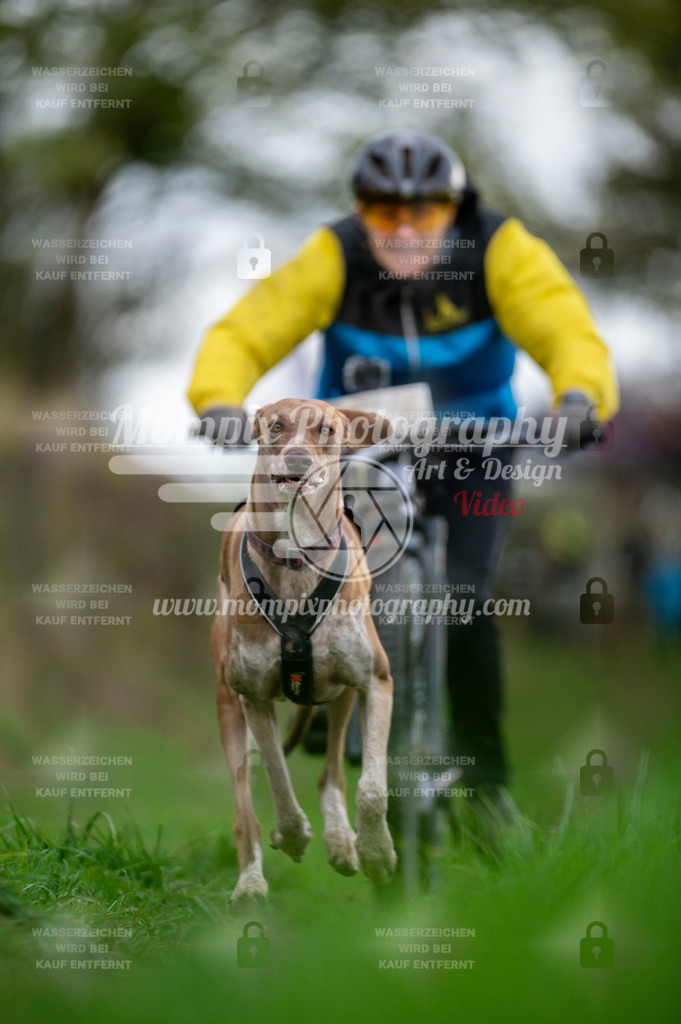 TSB_2023_E8_Bike-83 | PayLife