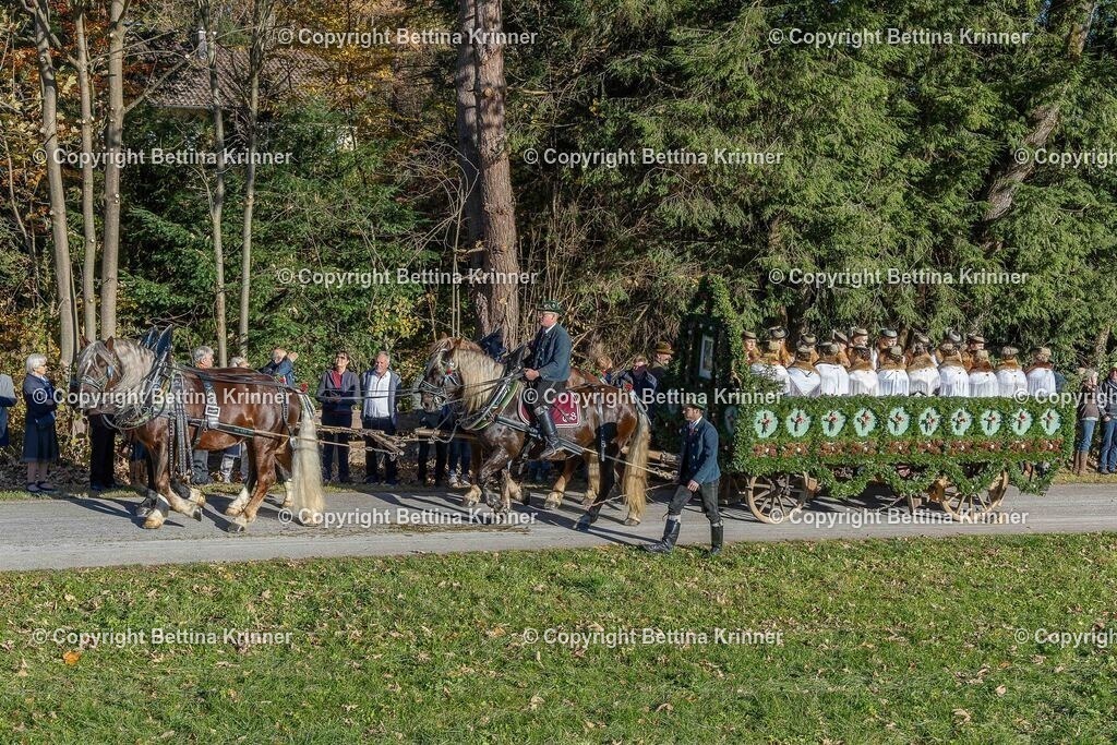 LBT25-346 | foto-bettina-krinner - Realisiert mit Pictrs.com