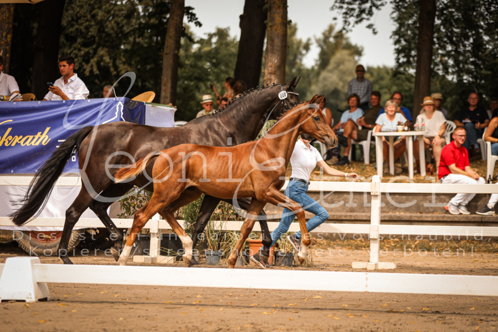 SaPA00096 | Leoni Ertmer Photography - Realisiert mit Pictrs.com