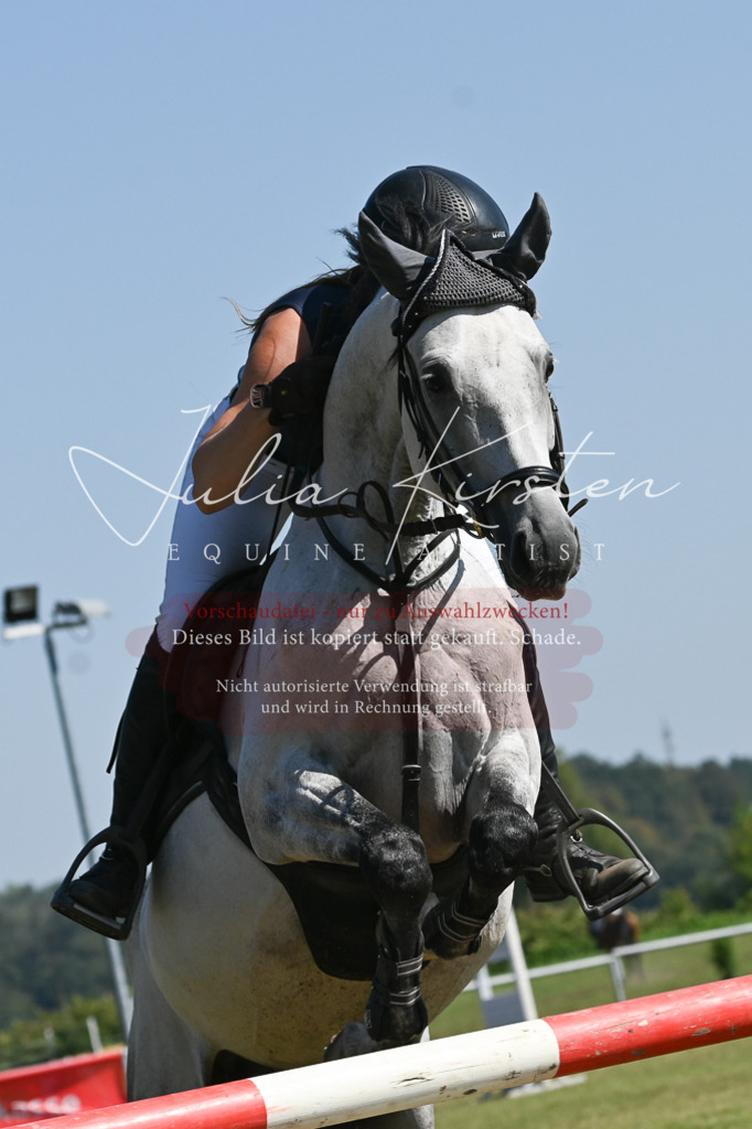 DSC_6348 | Pferde- und Turnierfotografie in Westsachsen. Pferdeportraits, Auftragszeichnungen und intuitive Kunst.