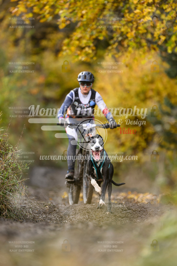 MompixPhotography_ICF_WC_2024_SA_Bike_-225 | PayLife