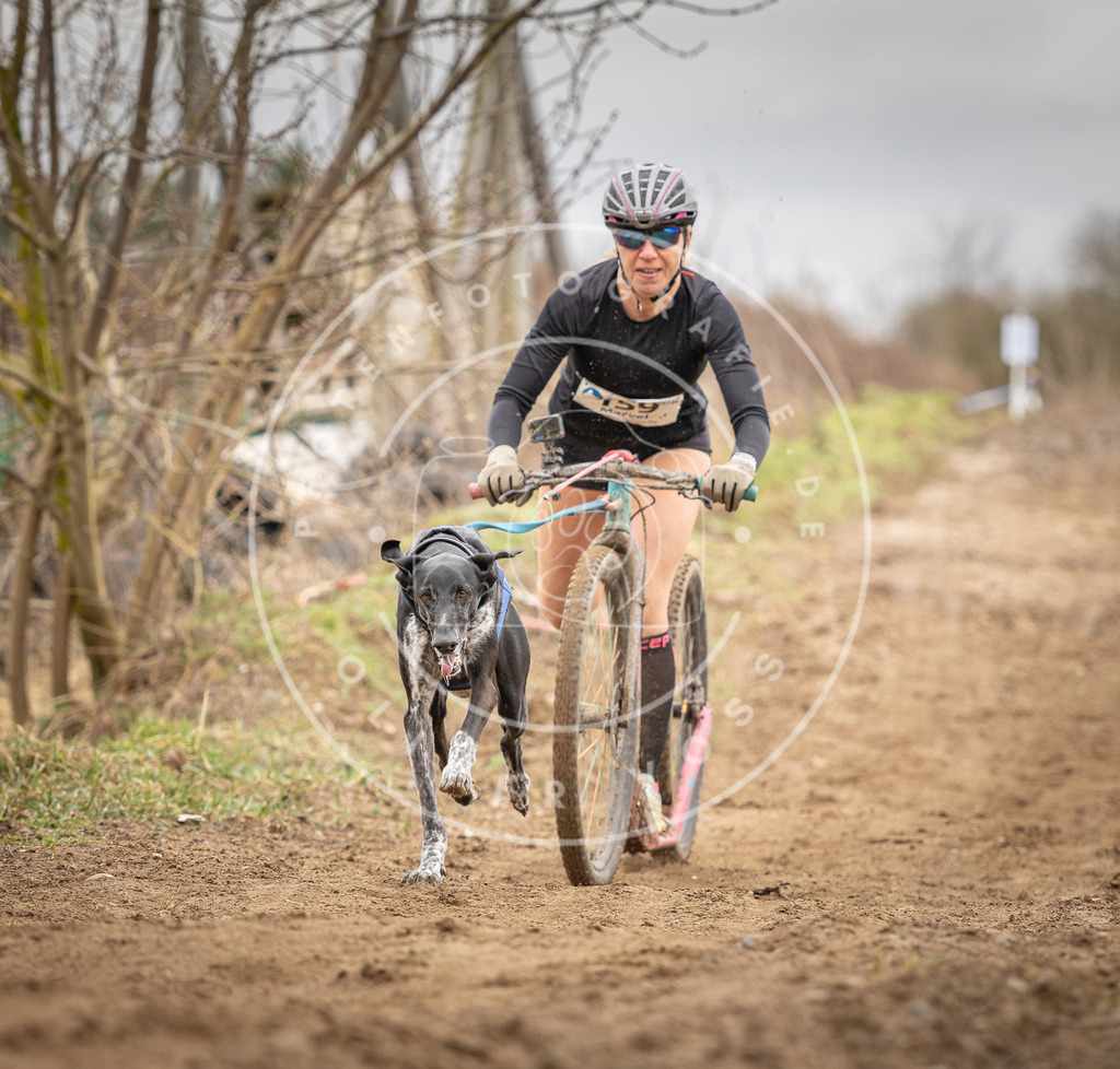 DV3A1718 | Hundefotografie, Tierfotograf, Pfotenfotografie, Fotoshooting Hund, Hunde Portrait, Hundesport, Hundeportraits, Heideshooting, Hunde, Sportfotograf, Hundefotograf, Turnierhundsport, THS,  - Realisiert mit Pictrs.com