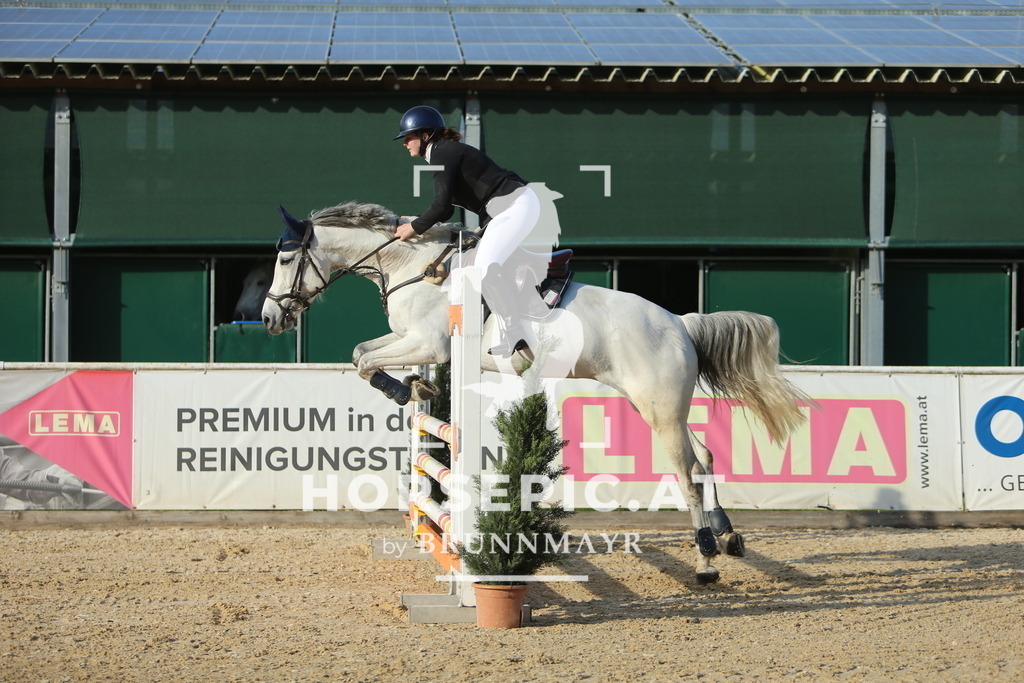 DL2Q4377 | Willkommen bei Brunnmayr - Design & Fotografie – Ihrem Spezialisten für Reitturniere und Pferdeveranstaltungen in Oberösterreich, Salzburg und Bayern! Seit über 17 Jahren sind wir leidenschaftlich dabei.