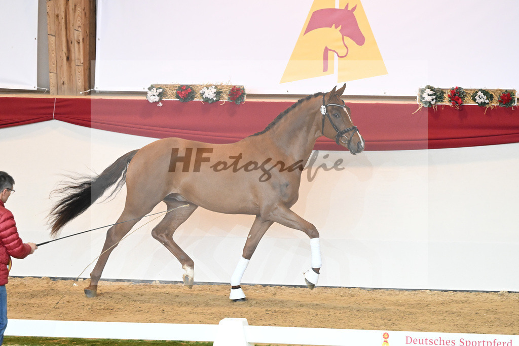 Kat-Nr. 78 Viva Gold_Casper u Eulich_1230486 | hf-fotografie - Realisiert mit Pictrs.com