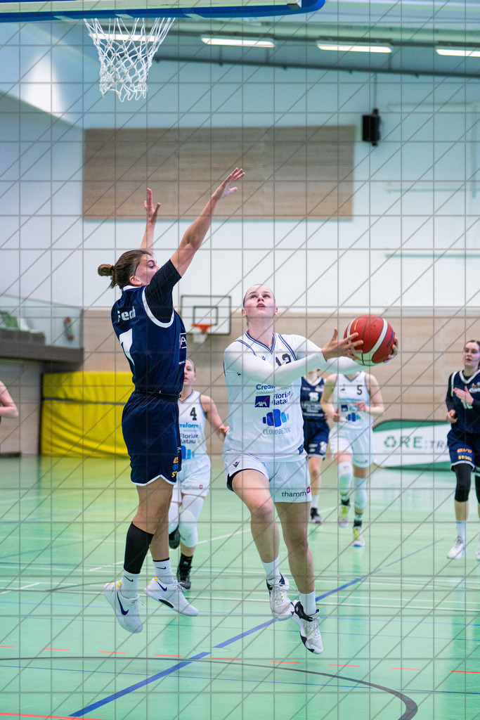 2. DBBL Nord 24/25 | 02.03.2025 | BBC OS vs. New Basket Oberhausen | 2. DBBL Nord 24/25 | 02.03.2025 | BBC OS vs. New Basket Oberhausen - - - - - CREDIT, www.bullenfotos.de, Martin König, Hörner Weg 40, D-49078 Osnabrück, +4917663732967, Nutzung und Weitergabe nur zu den vereinbarten Zwecken. Presseanfragen an Urheber. Alle Rechte beim Urheber. - - - - - - Realisiert mit Pictrs.com