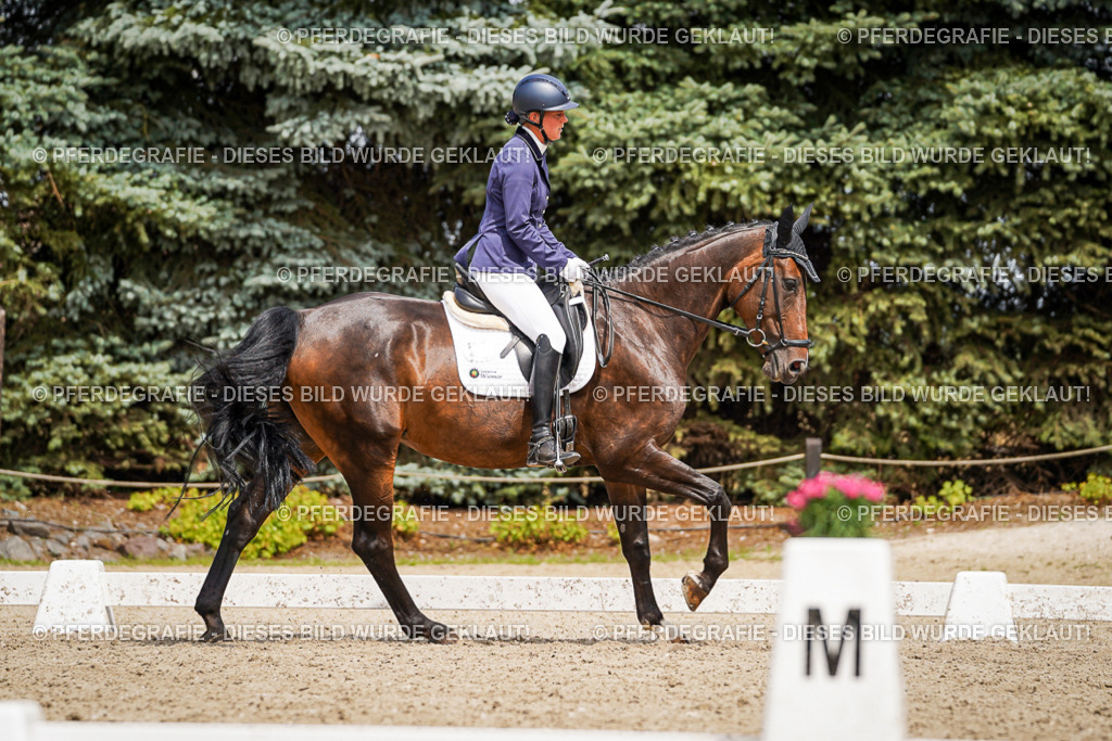 DSC03983 | Pferdegrafie