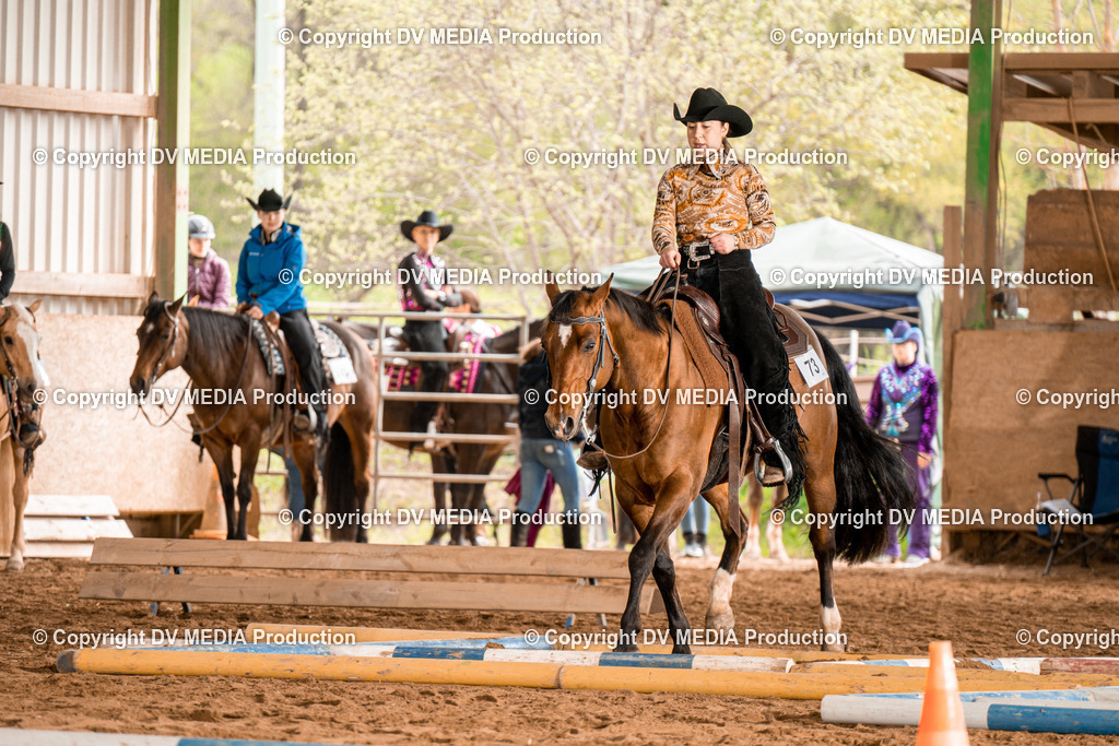 BA300504 | dv-media-shop - Realisiert mit Pictrs.com