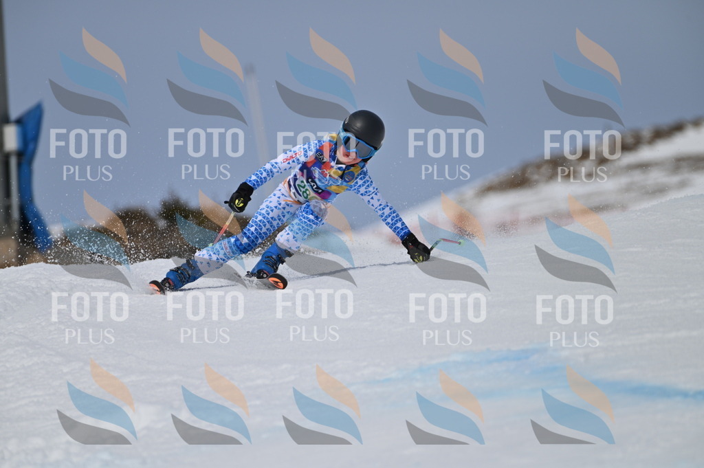 BGV_5698 | holidayphoto