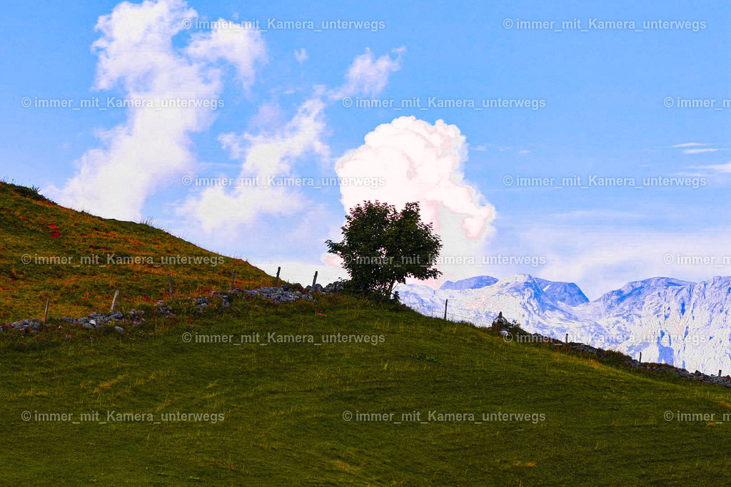 20230816173759_IMG_1024 | immer_mit_kamera_unterwegs