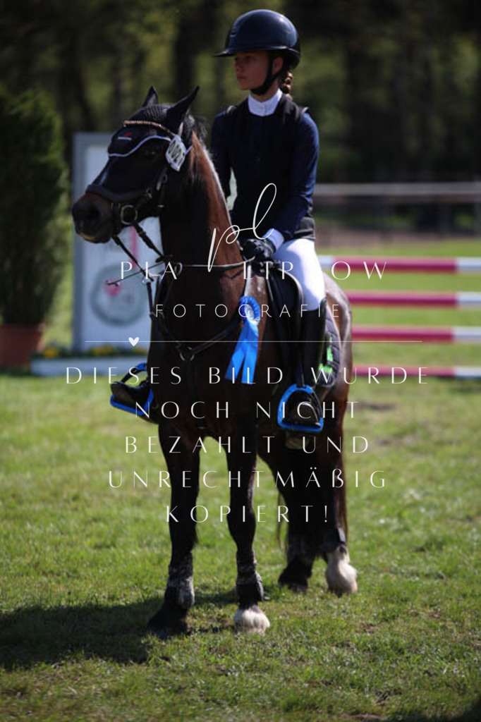 IMGT5730 | pl-fotografie