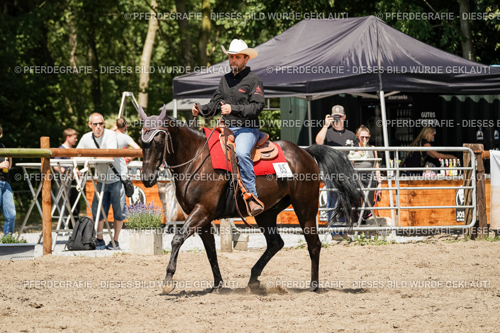 DSC09490 | Pferdegrafie