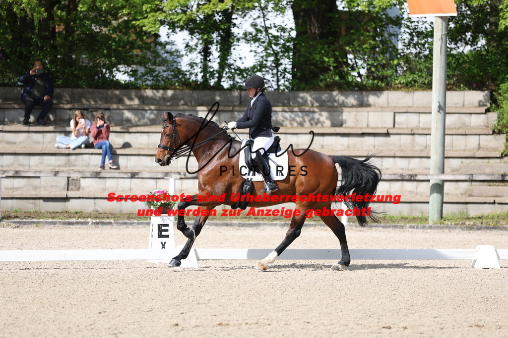 A40A3917 | lmwpictures - Realisiert mit Pictrs.com