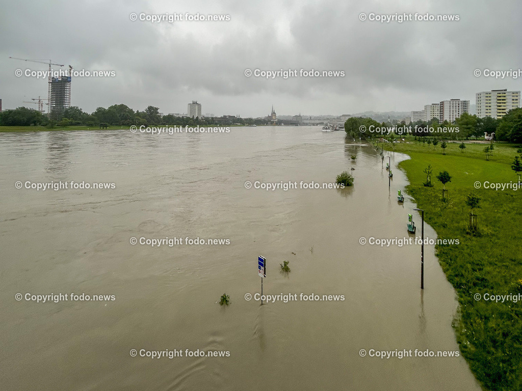 Linz_ Urfahr_ Hochwasser_ Donau_ 04.06.2024-5 | 04.06.2024, Linz, AUT, Urfahr, Hochwasser, im Bild Donau, Donaulaende Linz Urfahr