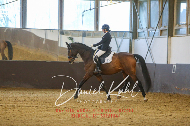 IMG_7692 | Turniersportfotografie; Pferdefotografie; Dressurfotografie