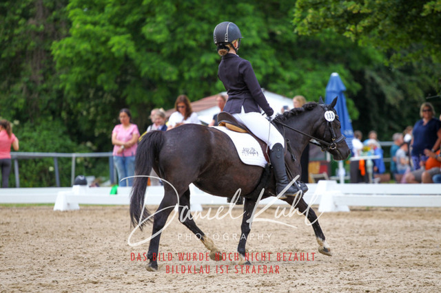 DKP46264 | Turnierfotos kaufen im Webshop von Daniel Kuhl Photography – entdecke professionelle Reitsportfotos aus Turnieren & Events. Hochwertige Turnierbilder online bestellen & sichern. Jetzt Fotos von Reitsportturnieren kaufen!