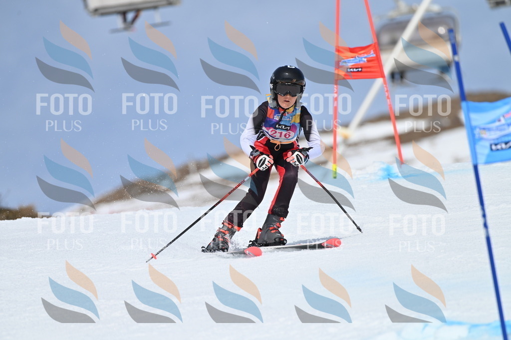 BGV_1237 | holidayphoto