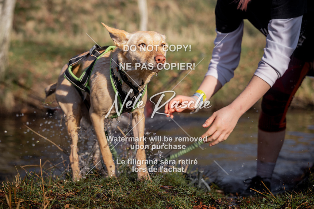 nelerasche_FS0900-1000_133 | nelerasche