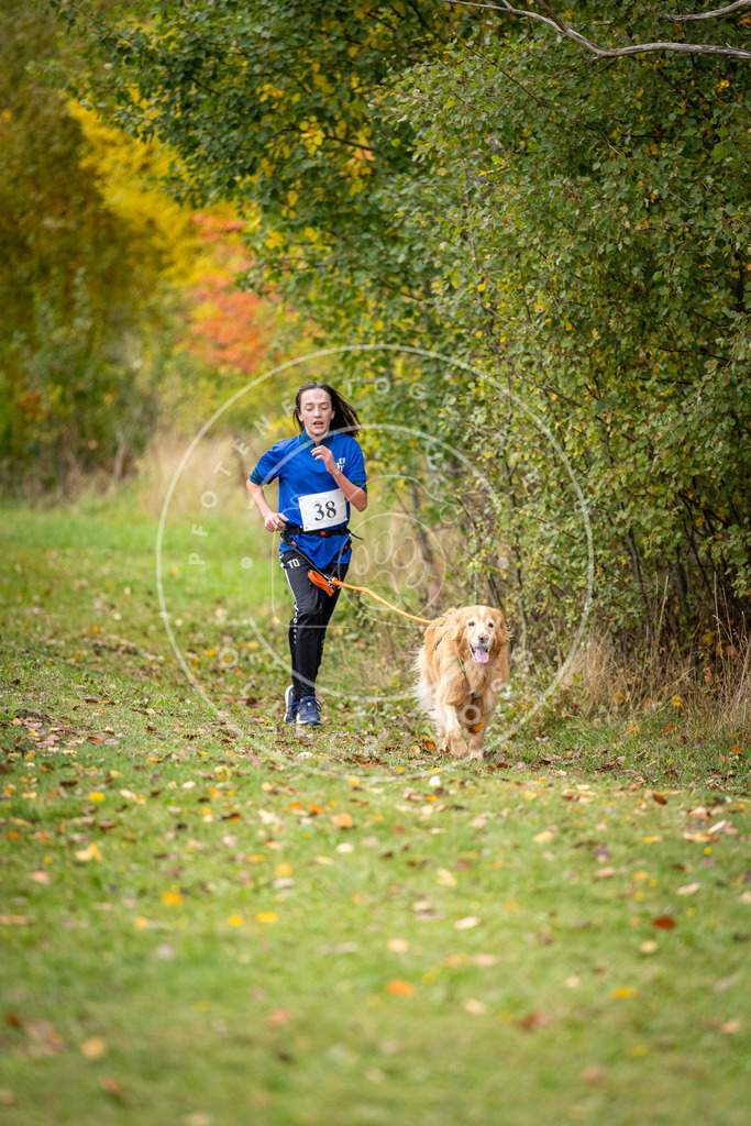Pfotenfotografie_DV3A2226 | Hundefotografie, Tierfotograf, Pfotenfotografie, Fotoshooting Hund, Hunde Portrait, Hundesport, Hundeportraits, Heideshooting, Hunde, Sportfotograf, Hundefotograf, Turnierhundsport, THS,  - Realisiert mit Pictrs.com