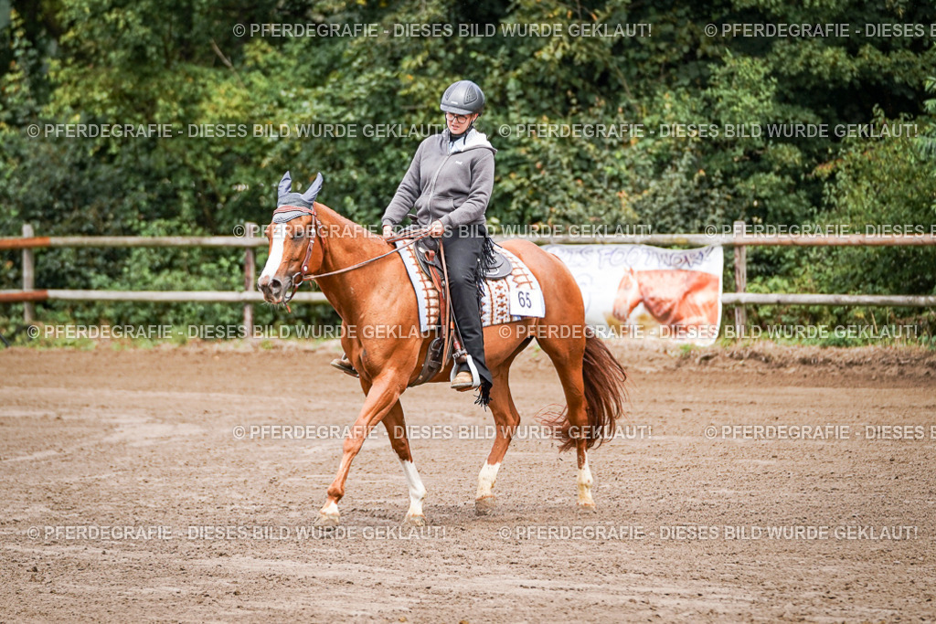 DSC05621 | Pferdegrafie