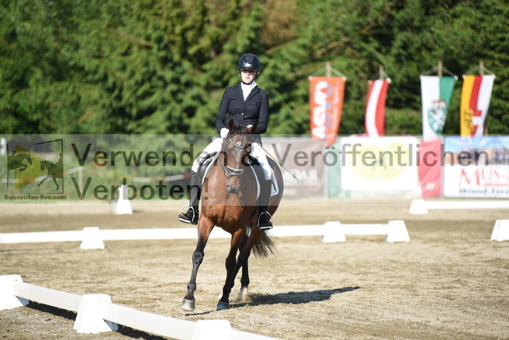 DSC_7141 | equestrian-live-com