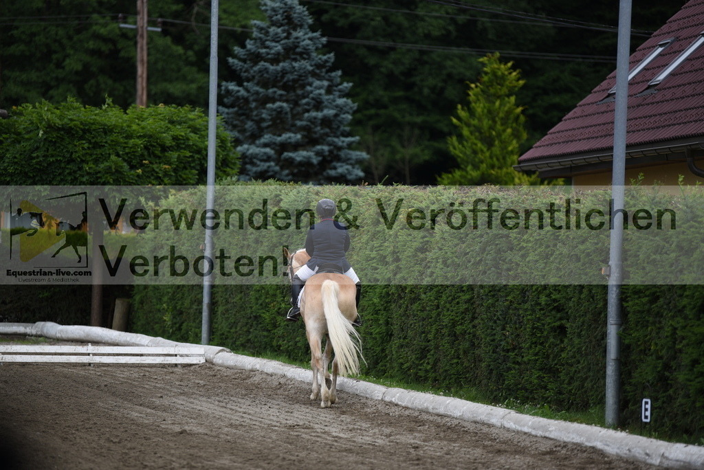 DSC_3672 | equestrian-live-com