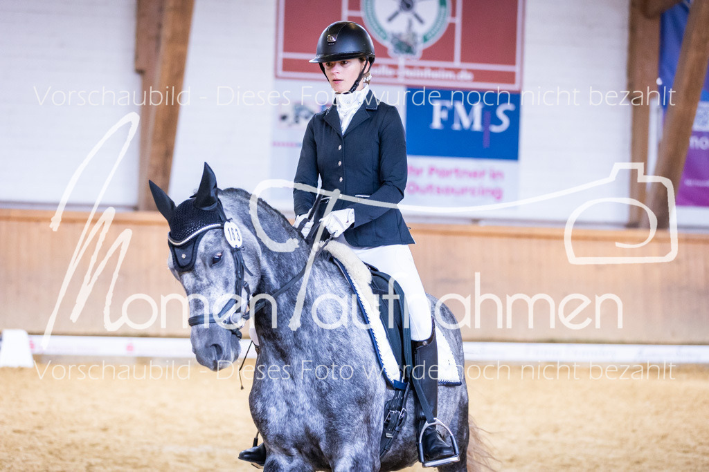 Sth-A-Dre-2St-188 | MomenTaufnahmen Pferdesportfotos