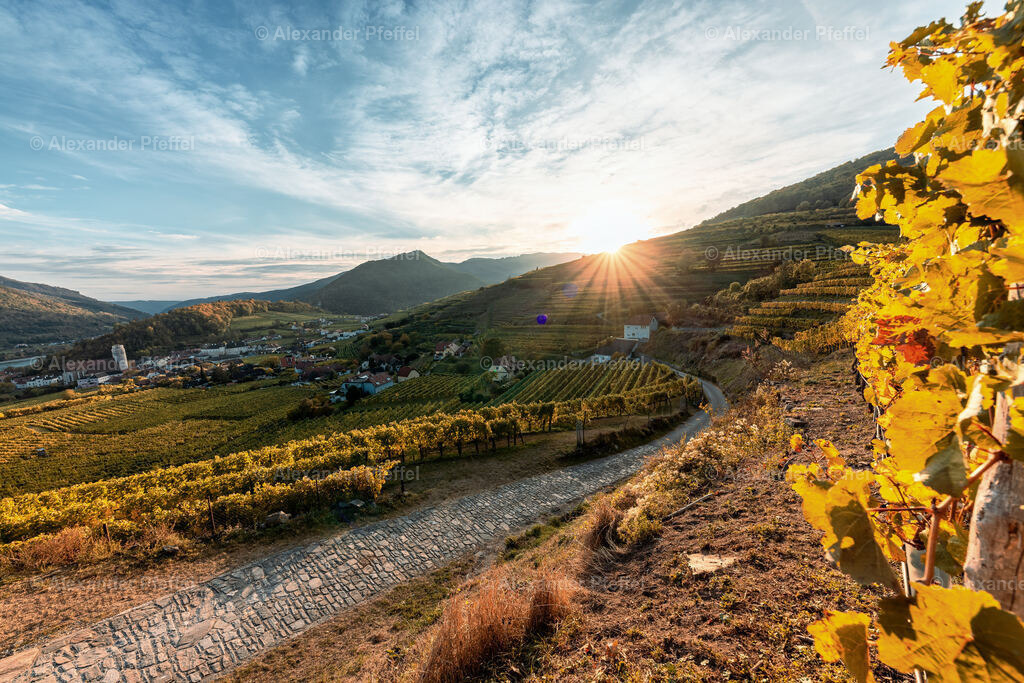 foto_c_pfeffel-partner-0091-R51_0256-HDR-Bearbeitet | alexander-pfeffel - Realisiert mit Pictrs.com