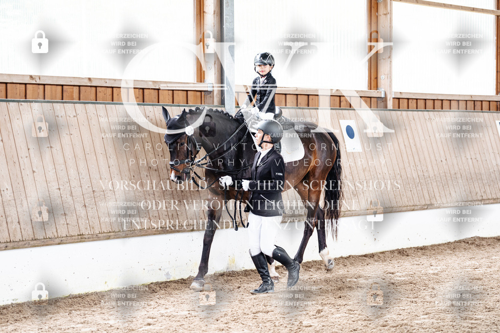 CK902111 | Turnierfotografie Pferdefotografie Trier Rheinland-Pfalz Pferdesport Reitsport Tierfotografie Sportfotografie Pferdevideo Pferdevideografie Equestrianvideography equestrianphotography  - Realized with Pictrs.com