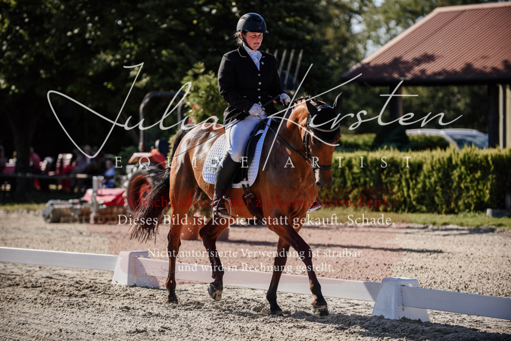 DSC_0382 | Pferde- und Turnierfotografie in Westsachsen. Pferdeportraits, Auftragszeichnungen und intuitive Kunst.