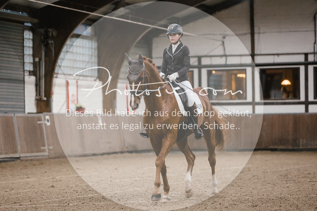 3I6A5917 | Stimmungsvolle Portraits und Reitsportfotografie im Ruhrgebiet und im Münsterland.

Pferdefotografie, Hundefotografie, Tierfotografie, Reportagen, Portraits von Tier und Mensch, Turnierfotografie in Bochum, Recklinghausen, Marl, Haltern am See, Dülmen.. - Realisiert mit Pictrs.com