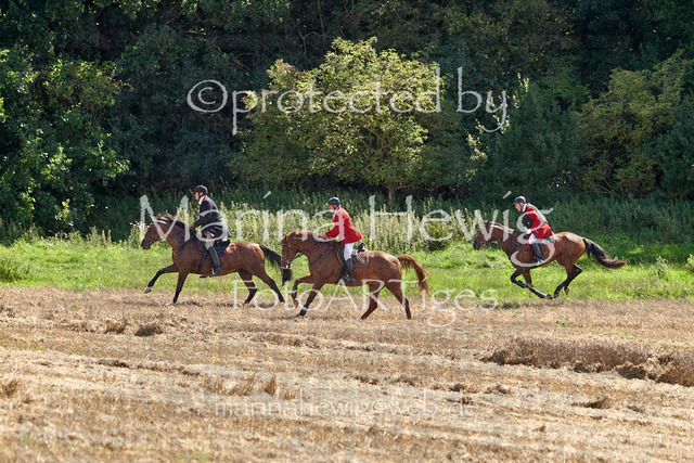 _MCH8216_Marina Hewig | Fotografie, FotoArt, PferdesportArt, Pferdesportfotografie, Landschaftsfotografie, Reisefotografie, Reise, Pferde - Realisiert mit Pictrs.com