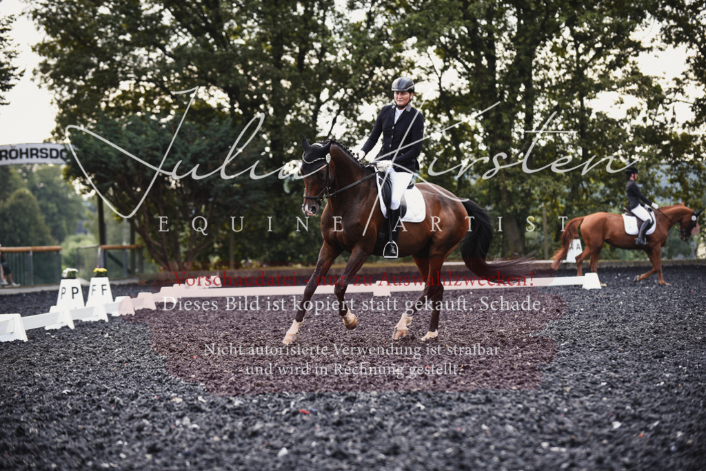 DSC_4039 | Pferde- und Turnierfotografie in Westsachsen. Pferdeportraits, Auftragszeichnungen und intuitive Kunst.