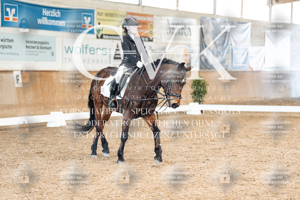 CK900538 | Turnierfotografie Pferdefotografie Trier Rheinland-Pfalz Pferdesport Reitsport Tierfotografie Sportfotografie Pferdevideo Pferdevideografie Equestrianvideography equestrianphotography  - Realisiert mit Pictrs.com