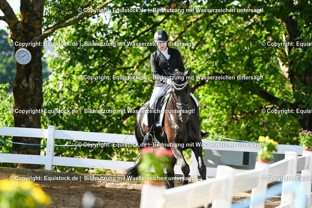 20230715_06_Dressurpferdeprfg. Kl.A_0095 | equistock