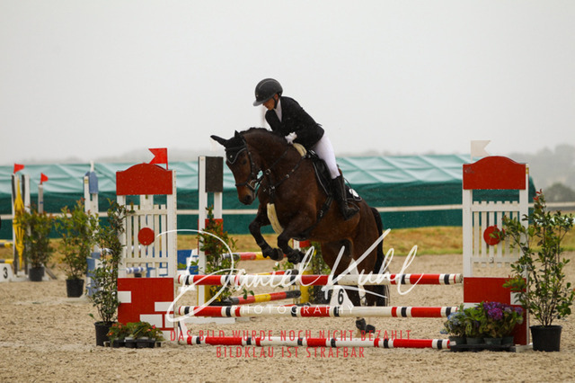 DKP47349 | Turniersportfotografie; Pferdefotografie; Dressurfotografie